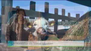 Yle Uutiset Lounais-Suomi: Yle Uutiset Lounais-Suomi 30-03-2016 Klo 18-22: 30.03.2016 17.34