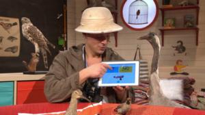 BUU-klubben hälsar: Veckans fråga v.14: 04.04.2016 07.00