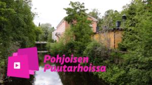 Pohjoisen puutarhoissa: Sammalgraffiteja ja perunatomaatteja: 01.04.2016 14.58