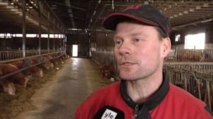 Yle Uutiset Itä-Suomi: Yle Uutiset Itä-Suomi 07-04-2016 Klo 18-22: 07.04.2016 18.09