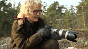 Luonto lähellä: kyy: 11.04.2016 08.31