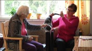 Yle Uutiset Häme: Yle Uutiset Häme 15-04-2016 klo 17-06: 15.04.2016 16.26