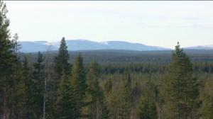 Yle Uutiset Lappi: Yle Uutiset Lappi 18-04-2016 Klo 17-06: 18.04.2016 16.40