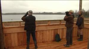 Yle Uutiset Häme: Yle Uutiset Häme 20-04-2016 klo 17-06: 20.04.2016 16.28