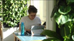 Yle Uutisluokka Triplet: Viherseinät parantavat konttorien sisäilmaa (S): 21.04.2016 09.59