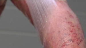 Yle Uutiset Uusimaa: Yle Uutiset Uusimaa 26-04-2016 klo 17-06: 26.04.2016 17.29