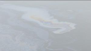 Yle Uutiset Häme: Yle Uutiset Häme 28-04-2016 klo 17-06: 28.04.2016 16.25