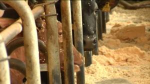 Yle Uutiset Itä-Suomi: Yle Uutiset Itä-Suomi 03-05-2016 Klo 17-06: 03.05.2016 16.44