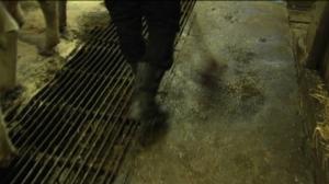 Yle Uutiset Itä-Suomi: Yle Uutiset Itä-Suomi 06-05-2016 Klo 17-06: 06.05.2016 16.50