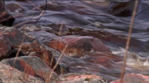 Yle Uutiset Lappi: Yle Uutiset Lappi 06-05-2016 Klo 17-06: 06.05.2016 16.53