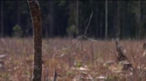 Yle Uutiset Keski-Suomi: Yle Uutiset Keski-Suomi 10-05-2016 Klo 17-06: 10.05.2016 16.34