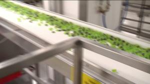 Yle Uutiset Kaakkois-Suomi: Yle Uutiset Kaakkois-Suomi 10-05-2016 Klo 17-06: 10.05.2016 16.40