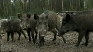 Erätulilla: 04.11.2015 13.30