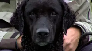 Erätulilla: 06.11.2015 13.20