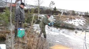 Yle News: 13.05.2016 15.05