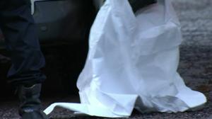 Yle News: 09.12.2016 15.05