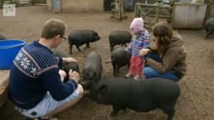 Eläimellistä menoa Norjassa: 28.05.2016 18.30