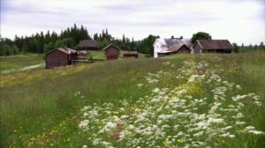 Tiettömän taipaleen takana: 06.07.2016 12.55