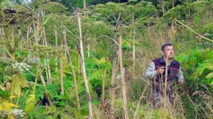 Tiededokumentti: Vihreä uhka: 25.08.2016 21.00