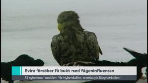 Yle Nyheter TV-nytt: 21.12.2016 19.30