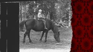 Arkistosta revittyä: Hevonen: 10.06.2016 18.30