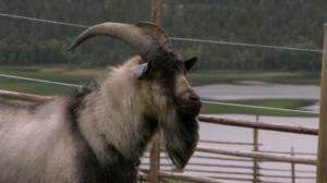 Tiettömän taipaleen takana: 08.07.2016 12.25