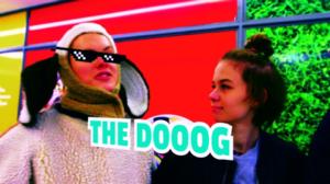 Homman nimi: Pukeudu koiraksi: 02.01.2017 13.19