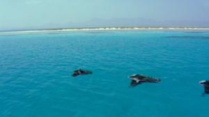 Afrikan luonnon helmiä: 28.12.2016 09.55