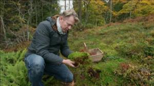 Jouluiloa puutarhasta: 14.12.2016 19.00