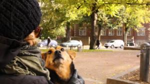 Kansallisaarteen etsintä: Näkymiä (S): 01.01.2017 06.00