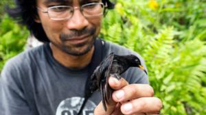 Prisma: Lajien syntylähteillä: 31.08.2016 19.00