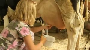 Zip-Zap muu (S): 11.07.2016 18.00