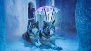 Joulukalenteri: Jäätävä seikkailu (S): 15.12.2016 06.00