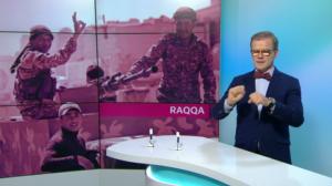 Yle Uutiset viittomakielellä: 06.11.2016 16.55