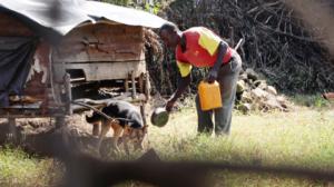 Ulkolinja: Etiopian vaaran vuosi: 29.12.2016 22.00