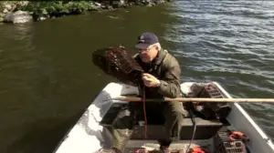 Erätulilla - kalavesillä: 15.10.2016 14.50