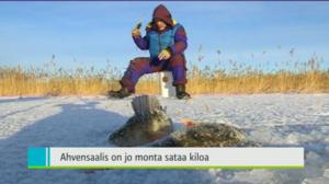Yle Uutiset Lounais-Suomi: Yle Uutiset Lounais-Suomi 05-01-2017 Klo 18-22: 05.01.2017 18.07