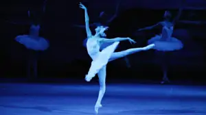 Joutsenlampi Bolshoi-teatterista: 06.01.2017 11.00