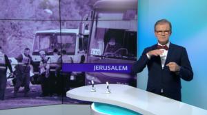 Yle Uutiset viittomakielellä: 08.01.2017 16.55