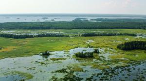 Meidän maamme - Vårt land: 09.01.2017 00.01