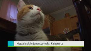 Yle Uutiset Kaakkois-Suomi: Yle Uutiset Kaakkois-Suomi 11-01-2017 Klo 18-22: 11.01.2017 18.43