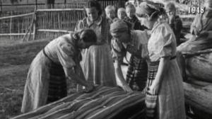 Vuosirenkaita: 12.01.2017 14.50