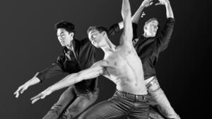 Dok: Balettipojat: 12.01.2017 22.00