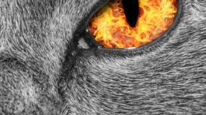 Perjantai: 20.01.2017 21.05