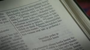 Pisara: 21.01.2017 15.10