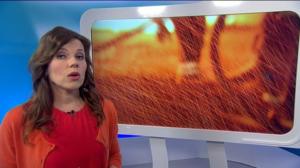 Yle Uutiset Uutis-Suomi: Yle Uutiset Uutis-Suomi 27-01-2017: 27.01.2017 20.00
