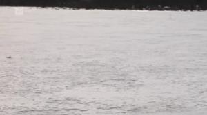 Novosti Yle: 11.11.2016 16.50