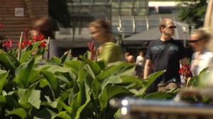 Novosti Yle: 04.06.2016 16.50