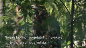 Yle Oddasat: 08.06.2016 15.15