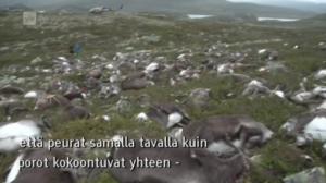 Yle Oddasat: 30.08.2016 15.15